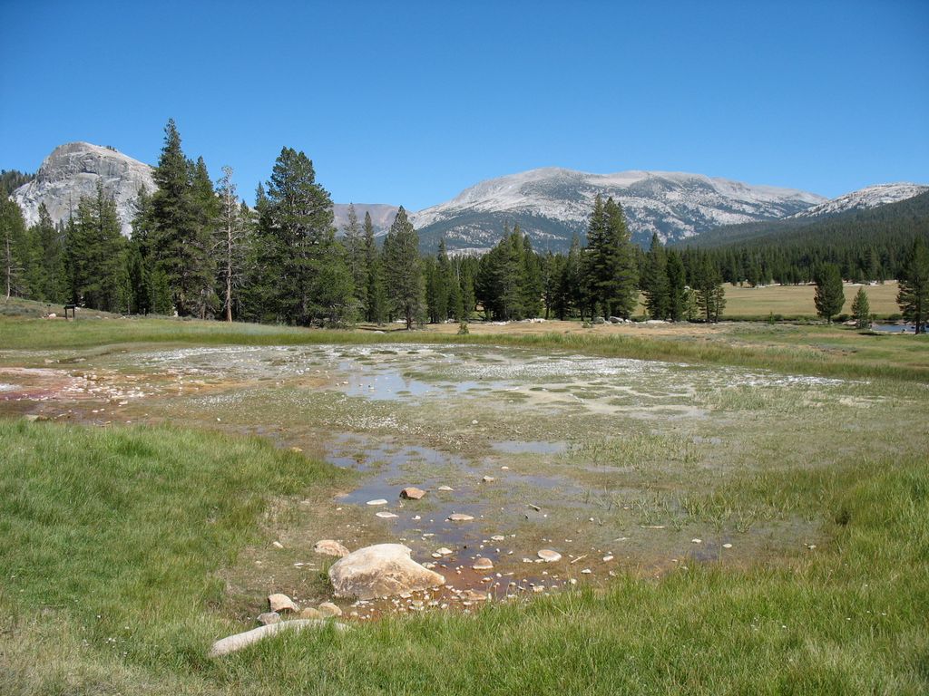 img_0748.jpg (large)